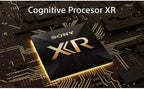 Sony E99SNXR65A95L 65