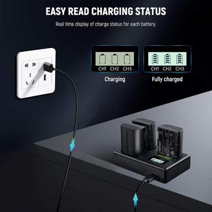 Neewer LP-E6P 2400mAh Battery 3-Pack with USB Charger