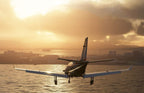 Microsoft 1154630 Flight Simulator Premium Deluxe Edition PC