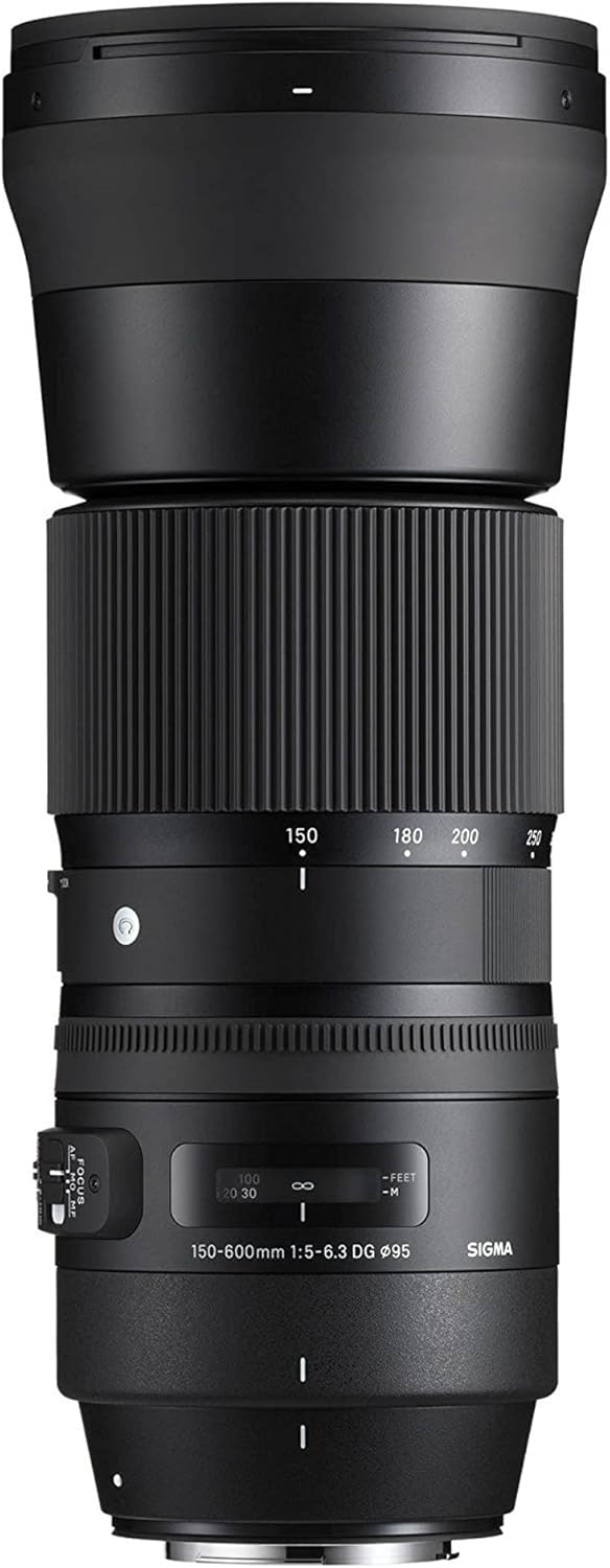 Sigma 150-600mm Nikon Lens Contemporary Bundle