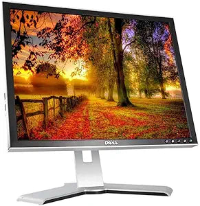 Dell P2210F 22-Inch LCD Desktop Monitor VGA DVI — main product image