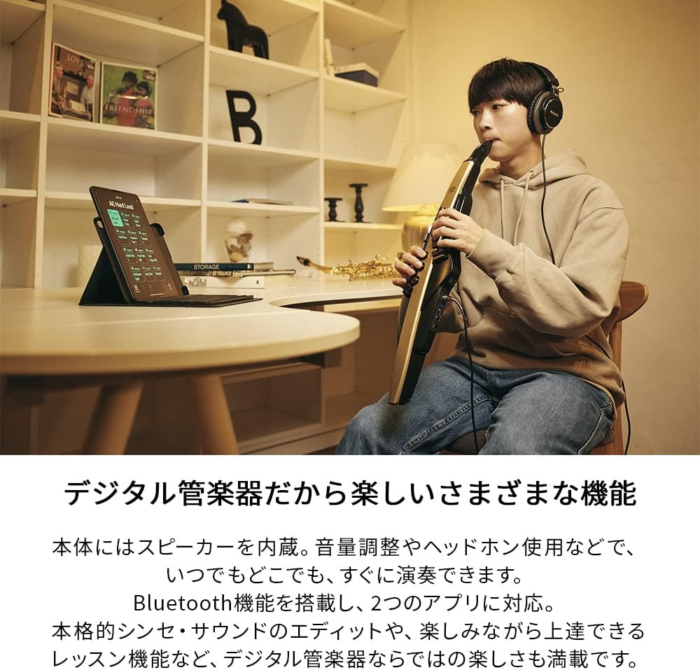 Roland AE-20 Aerophone Digital Wind Instrument Black