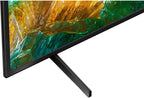 Sony E2SNXBR55X800H 55