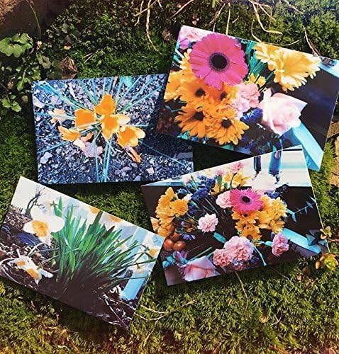 Polaroid POLZ2X330 2x3 Zink Photo Paper - 30 Pack