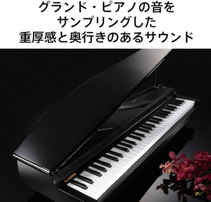 Korg MICROPIANOBK 61-Key Miniature Grand Piano