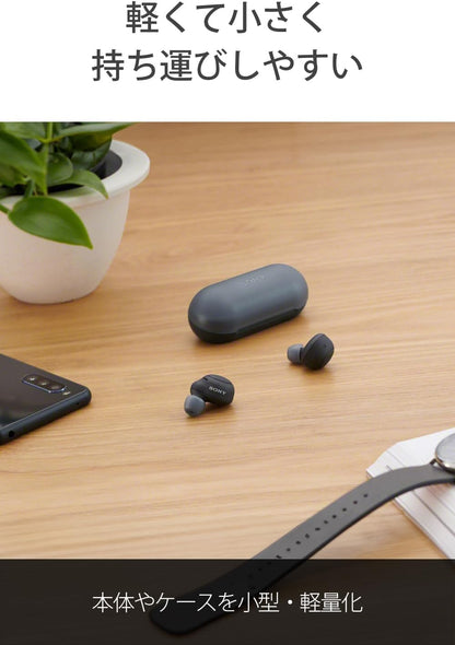 Sony WF-C500 BZ Truly Wireless Earbuds Black