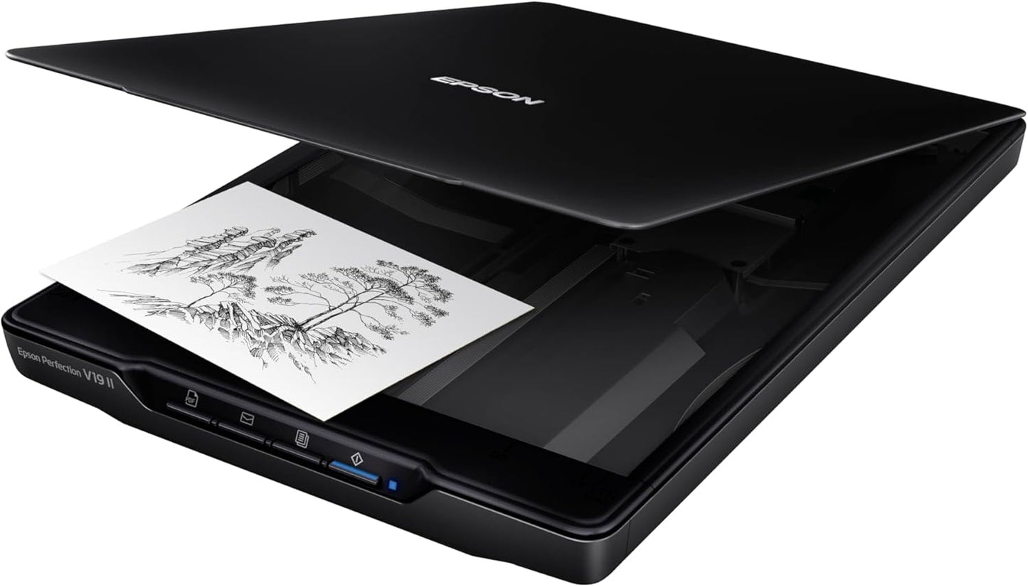 Epson B11B267201 Perfection V19 II Flatbed Scanner