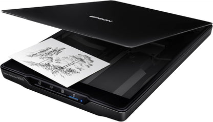 Epson B11B267201 Perfection V19 II Flatbed Scanner