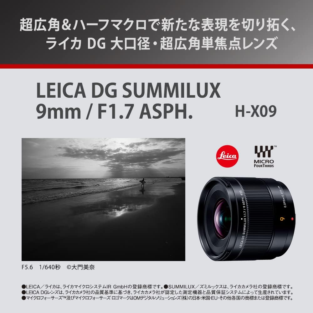 Panasonic H-X09 Wide Angle Lens for LUMIX DSLR