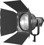 Godox LB-02 Barndoor for FLS10 Fresnel Lens