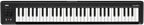 Korg MICROKEY261 61-Key USB MIDI Keyboard Controller