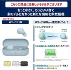 Sony WF-C500 BZ Truly Wireless Earbuds Black