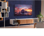 Sony E10SNXBR43X800H 43