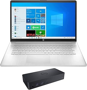 HP 4X3C2AV-4135 Laptop i5-1135G7 16GB 8TB SSD 17.3" Dock Bundle