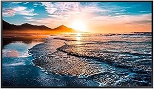 Samsung QH43R 43" 4K UHD Commercial TV Display