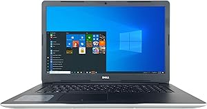 Dell i3793 Inspiron 17.3" i7-1065G7 8GB 256GB SSD Laptop (Renewed)