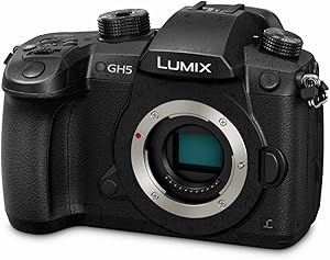 Panasonic DC-GH5 LUMIX 4K Mirrorless Camera - Black
