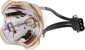 Hitachi DT00873 Projector Lamp Module with Warranty