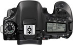 Canon 1263C004 EOS 80D DSLR Camera Body Only