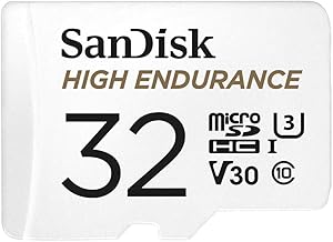 SanDisk SDSQQNR-032G 32GB High Endurance MicroSD Card