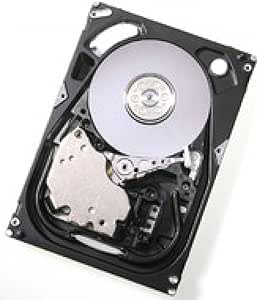 Hitachi HUS154530VLS300 300GB SAS Hard Drive - 15K RPM