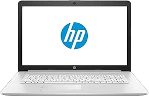 HP HP 17 Business i5 Linux Mint Laptop