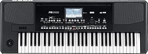 Korg PA300 Professional Arranger Keyboard — main product image