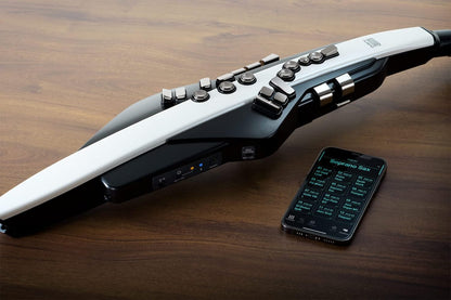 Roland AE-20 Aerophone Digital Wind Instrument Black