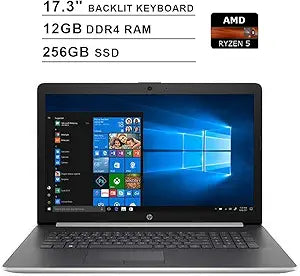 HP 2020 Premium Pavilion 17.3" Touchscreen Laptop, Ryzen 5, 12GB, 256GB SSD