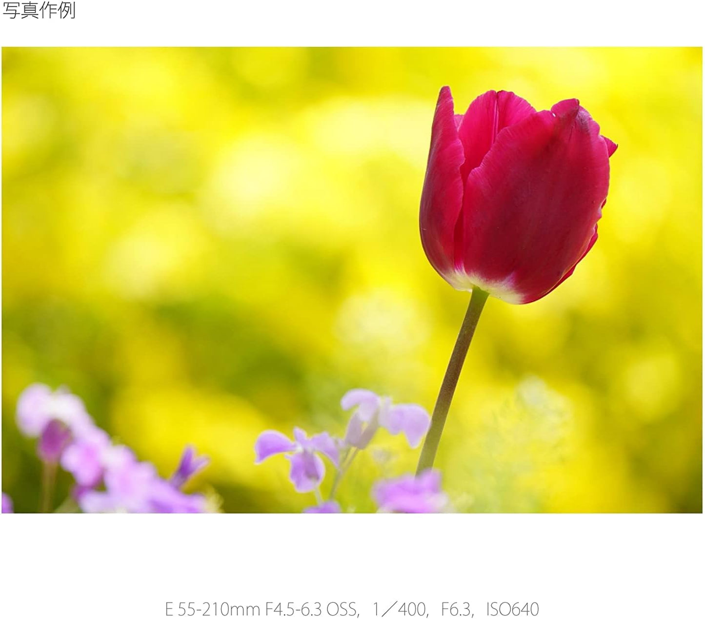 Sony SEL55210-cr 55-210mm E-Mount Lens Renewed