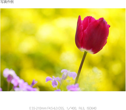 Sony SEL55210-cr 55-210mm E-Mount Lens Renewed