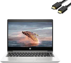 HP ProBook 445 G7 14" FHD Business Laptop