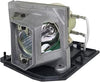 Optoma BL-FP230F Projector Lamp with Cage Assembly