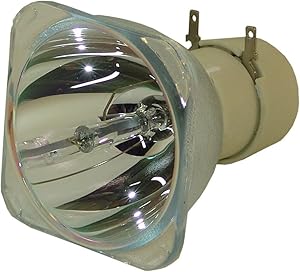 InFocus SP-LAMP-061 Projector Replacement Lamp