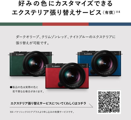 Panasonic DC-S9-S LUMIX S9 Full-Frame Mirrorless Camera (Silver)