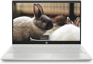 HP Pavilion 15t - 15.6