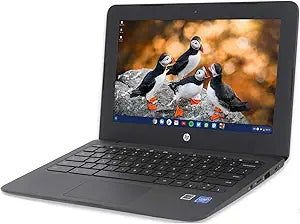 HP Chromebook 11a 11.6" HD Renewed Laptop