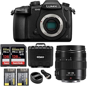 Panasonic DC-GH5KBODY Lumix GH5 4K Mirrorless Camera Bundle