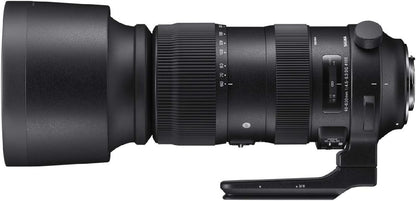 Sigma 730954 60-600mm Telephoto Zoom Lens - Canon EF