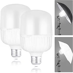 Neewer 10101650 E26 24W LED Light Bulbs - 2 Pack