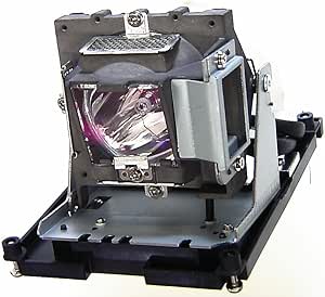 BenQ 5J.Y1H05.011 Projector Replacement Lamp