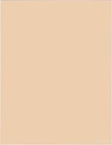 Cokin X027 Warm 81B Filter for XL Series