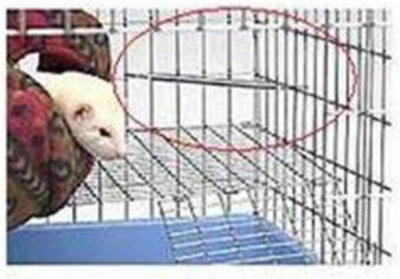 Marshall FG-220 Ferret Corner Deterrent 4-Pack