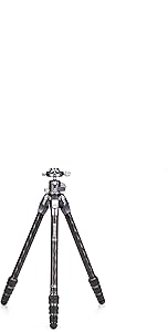 Benro TTOR14CGX25 Tortoise Carbon Fiber Tripod with GX25 Head — main product image