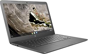 HP 14 G5 Business Chromebook N3350 4GB 16GB eMMC (Renewed)