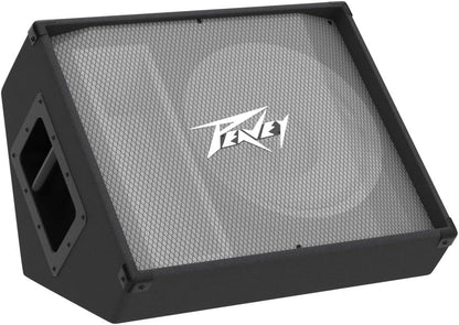 Peavey 570650 PV 12M 2-Way Stage Floor Monitor