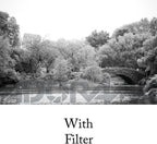 Tiffen 438Y2 43mm 8 Yellow 2 Filter - Black and White Photography