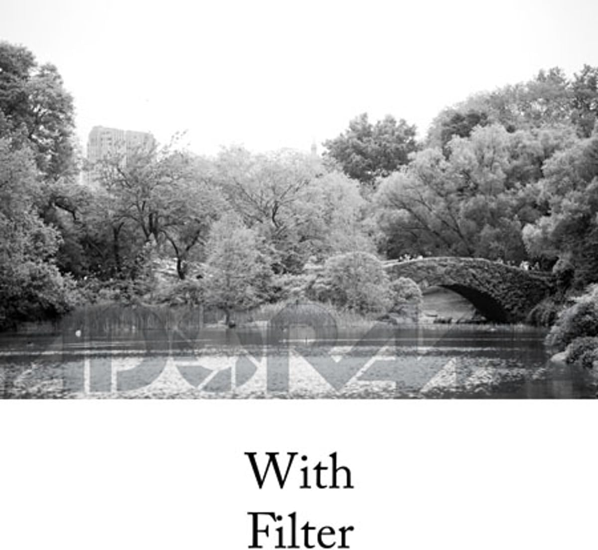 Tiffen 438Y2 43mm 8 Yellow 2 Filter - Black and White Photography