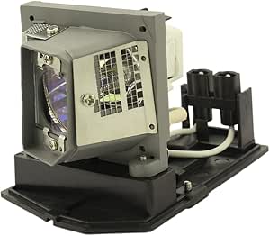 Optoma BL-FP200G Projector Bulb - Original AWO Replacement