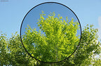 Canon FKIVMFCNEOSR-58 EOS R 58mm Lens Filter Kit